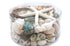 green and pearl seashell pack